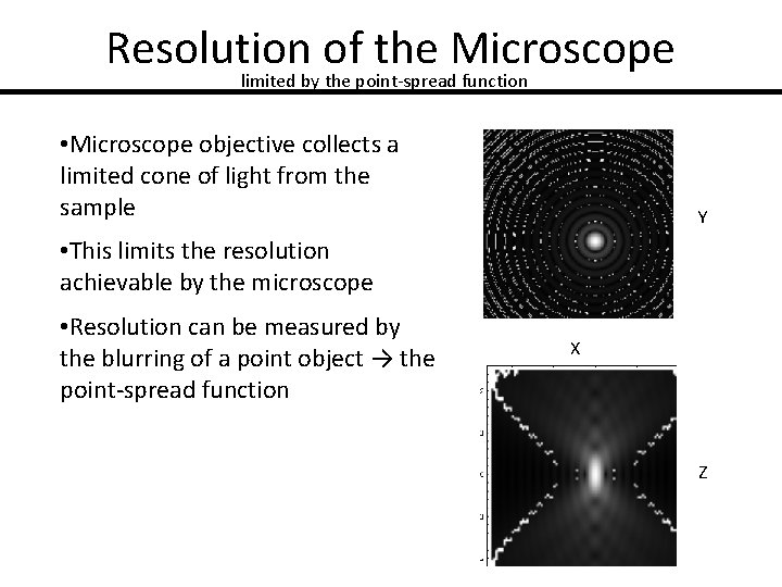 Resolution of the Microscope limited by the point-spread function • Microscope objective collects a