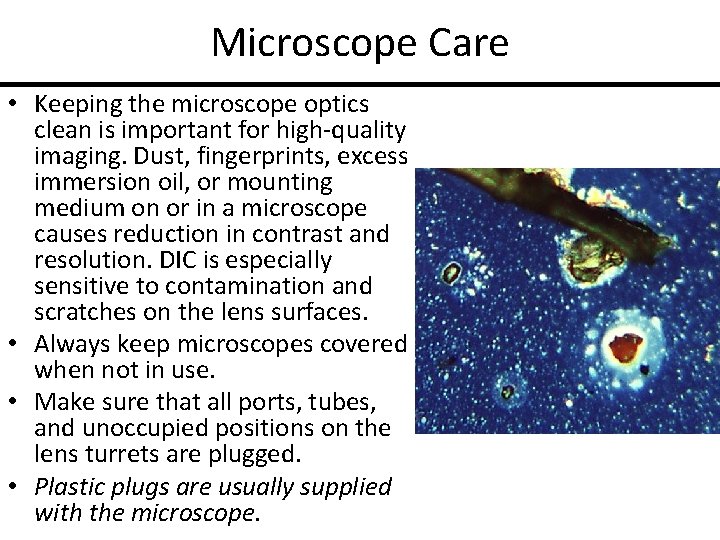 Microscope Care • Keeping the microscope optics clean is important for high-quality imaging. Dust,