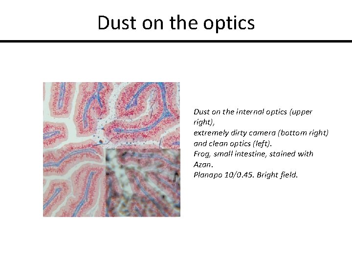 Dust on the optics Dust on the internal optics (upper right), extremely dirty camera