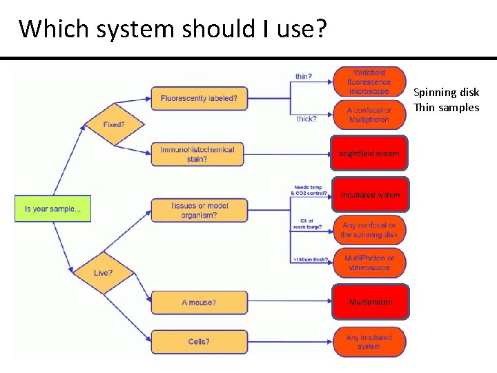 Which system should I use? Spinning disk Thin samples brightfield system Incubated system Multiphoton