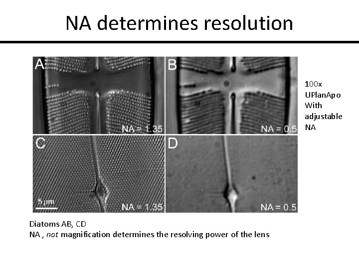 NA determines resolution 100 x UPlan. Apo With adjustable NA Diatoms AB, CD NA