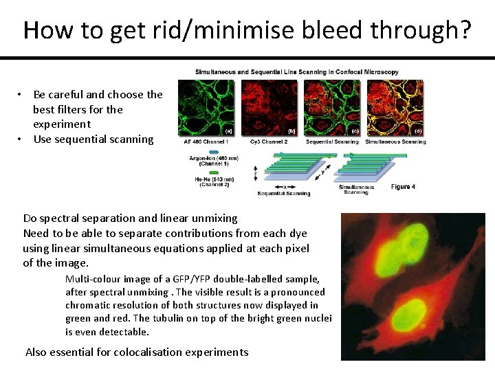 How to get rid/minimise bleed through? • Be careful and choose the best filters