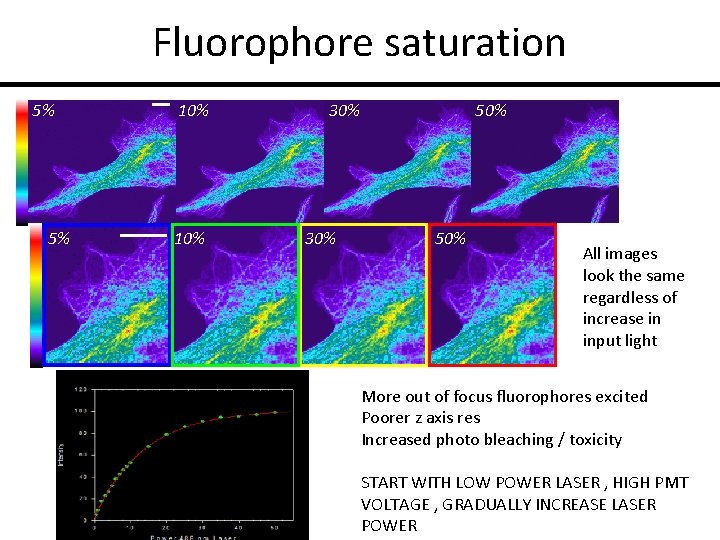 Fluorophore saturation 5% 5% 10% 30% 50% All images look the same regardless of