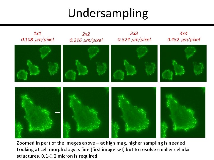 Undersampling 1 x 1 0. 108 mm/pixel 2 x 2 0. 216 mm/pixel 3