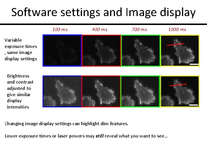 Software settings and Image display 100 ms 400 ms 700 ms Variable exposure times