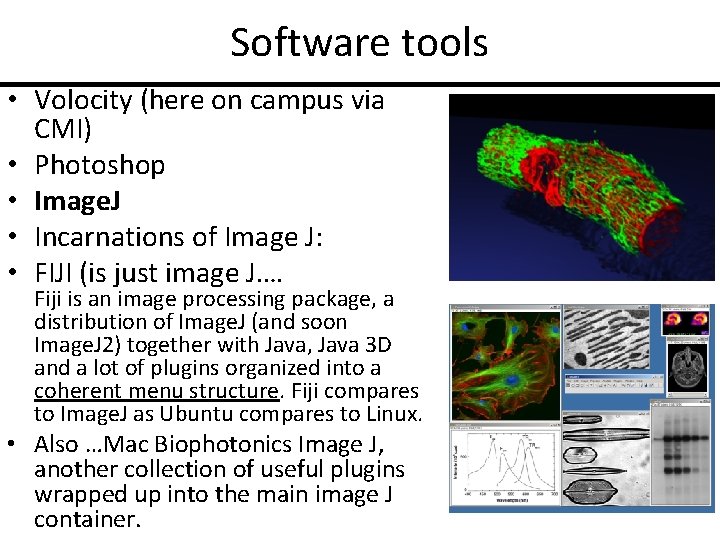 Software tools • Volocity (here on campus via CMI) • Photoshop • Image. J