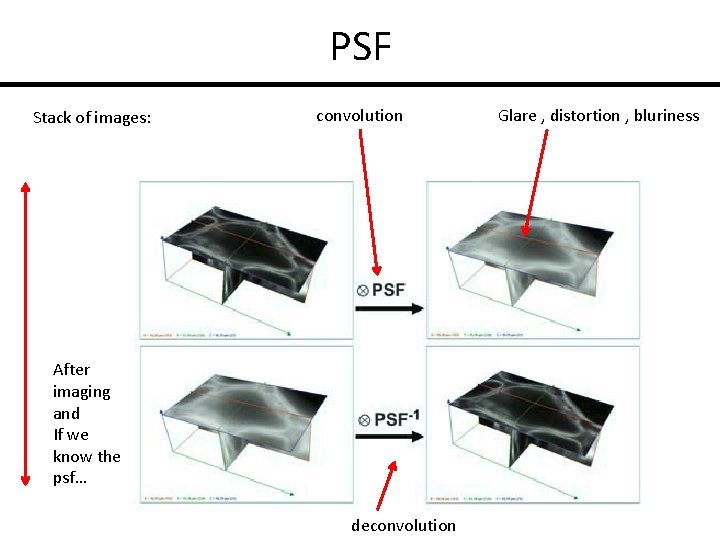 PSF Stack of images: convolution After imaging and If we know the psf… deconvolution