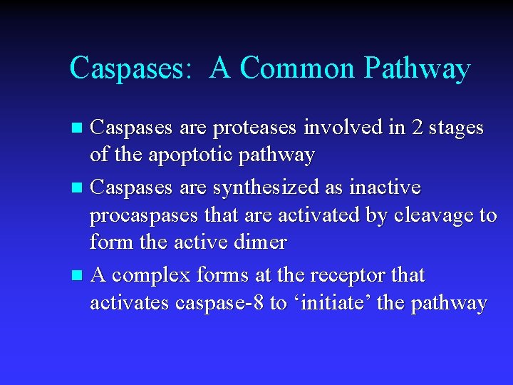 Caspases: A Common Pathway Caspases are proteases involved in 2 stages of the apoptotic