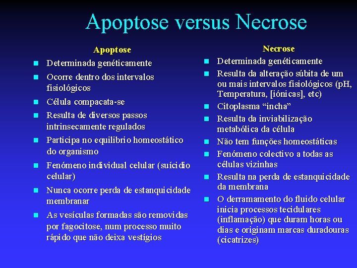 Apoptose versus Necrose n n n n Apoptose Determinada genéticamente Ocorre dentro dos intervalos