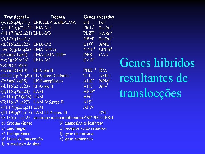 Genes hibridos resultantes de translocções 