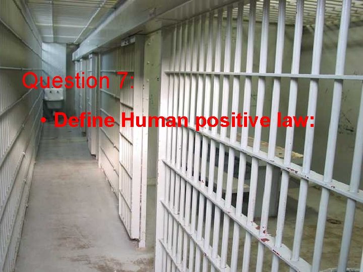 Question 7: • Define Human positive law: 