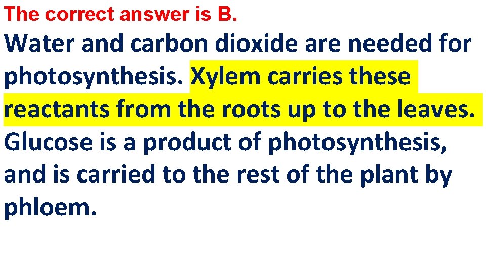 The correct answer is B. Water and carbon dioxide are needed for photosynthesis. Xylem