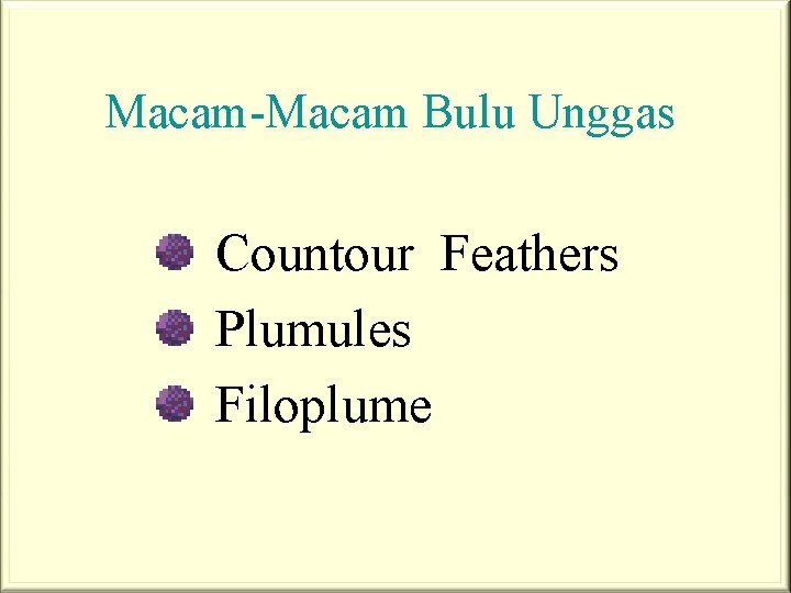 Macam-Macam Bulu Unggas Countour Feathers Plumules Filoplume 