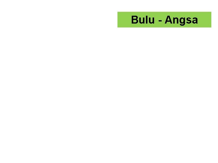 Bulu - Angsa 
