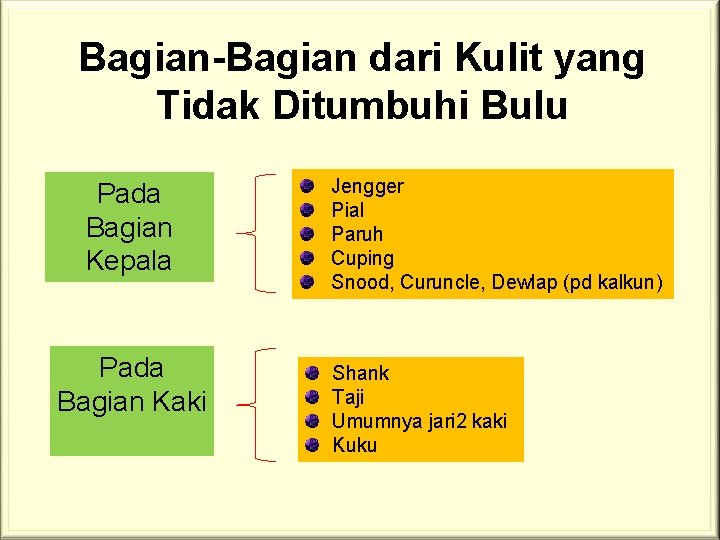 Bagian-Bagian dari Kulit yang Tidak Ditumbuhi Bulu Pada Bagian Kepala Pada Bagian Kaki Jengger