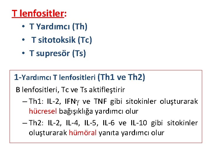 T lenfositler: • T Yardımcı (Th) • T sitotoksik (Tc) • T supresör (Ts)