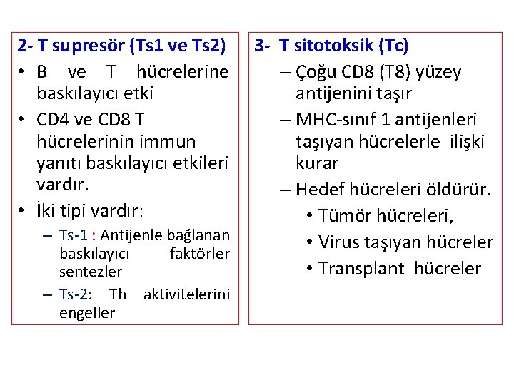 2 - T supresör (Ts 1 ve Ts 2) • B ve T hücrelerine