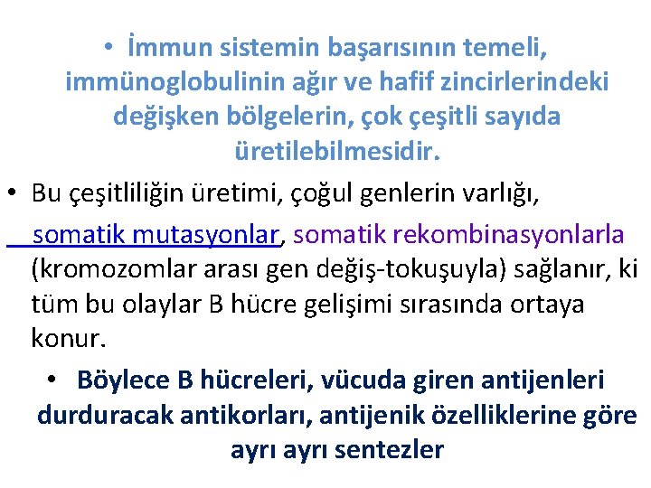  • İmmun sistemin başarısının temeli, immünoglobulinin ağır ve hafif zincirlerindeki değişken bölgelerin, çok