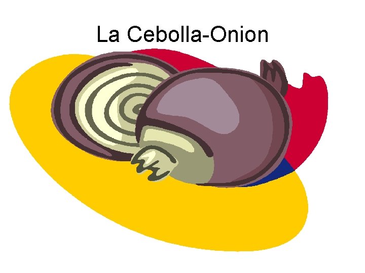 La Cebolla-Onion 