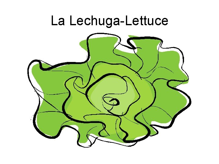 La Lechuga-Lettuce 