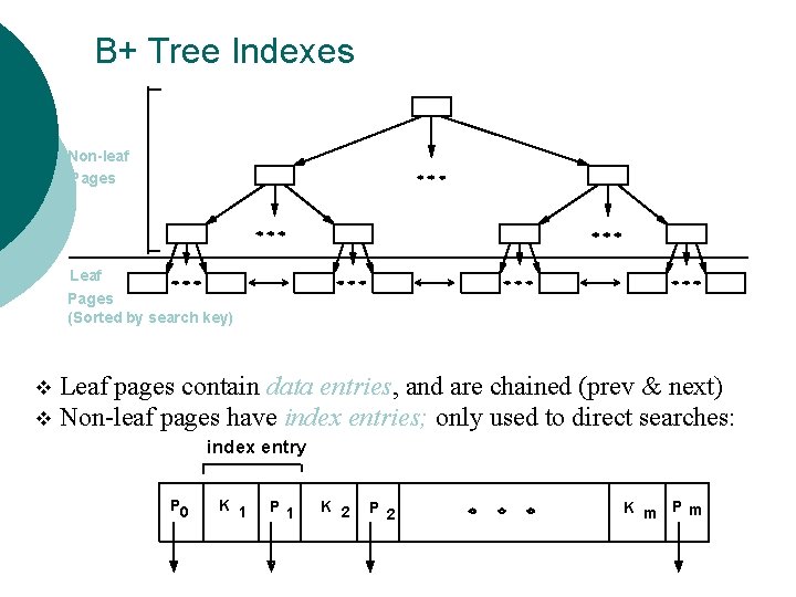 B+ Tree Indexes Non-leaf Pages Leaf Pages (Sorted by search key) Leaf pages contain