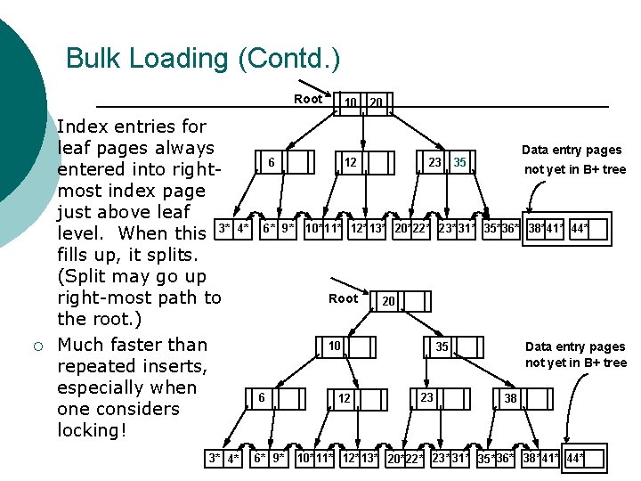 Bulk Loading (Contd. ) Root ¡ ¡ Index entries for leaf pages always entered