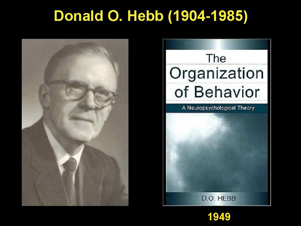 Donald O. Hebb (1904 -1985) 1949 