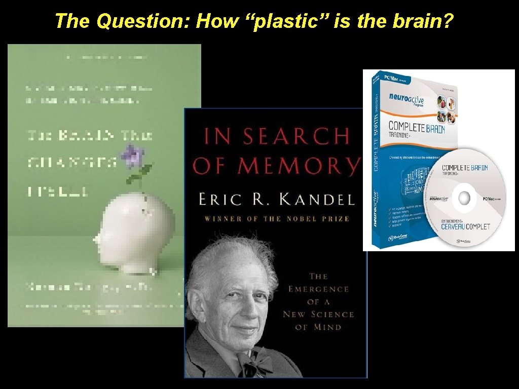 The Question: How “plastic” is the brain? 