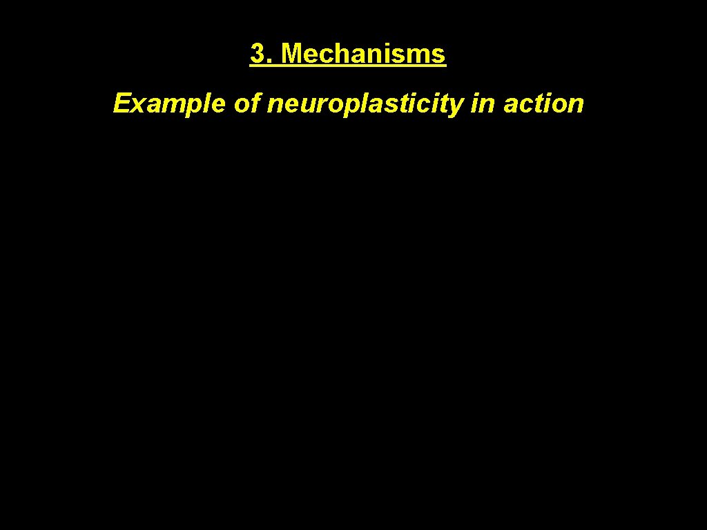 3. Mechanisms Example of neuroplasticity in action 