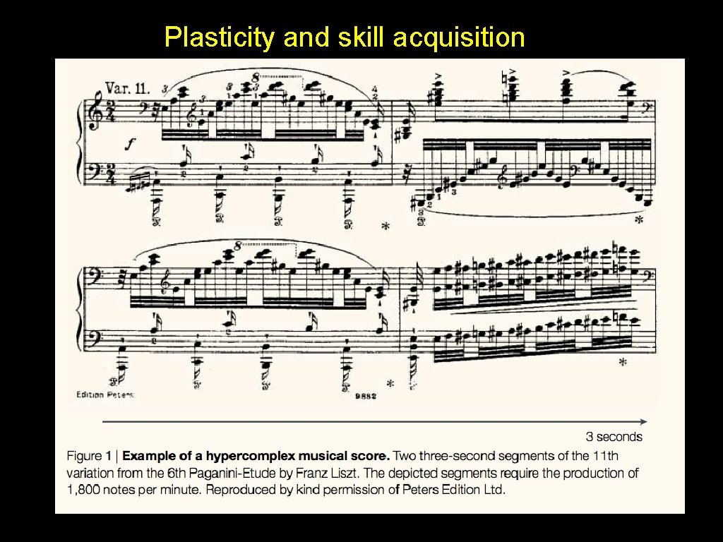 Plasticity and skill acquisition 