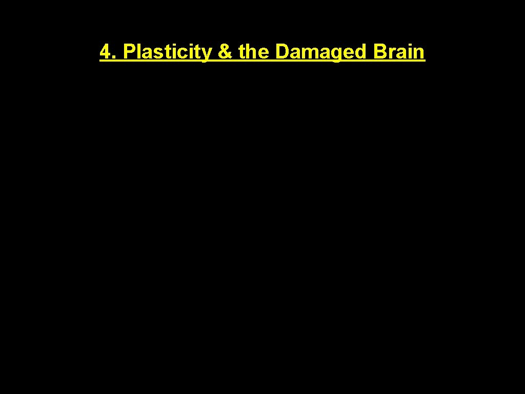 4. Plasticity & the Damaged Brain 