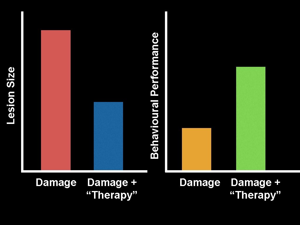 Behavioural Performance Lesion Size Damage + “Therapy” 