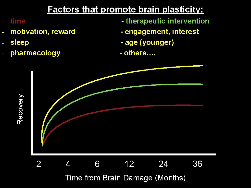 Factors that promote brain plasticity: - time motivation, reward sleep pharmacology - therapeutic intervention