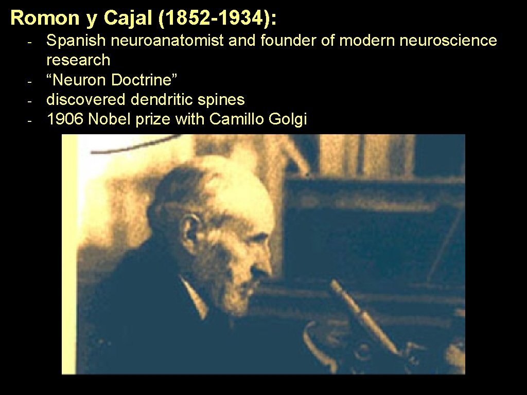 Romon y Cajal (1852 -1934): - Spanish neuroanatomist and founder of modern neuroscience research