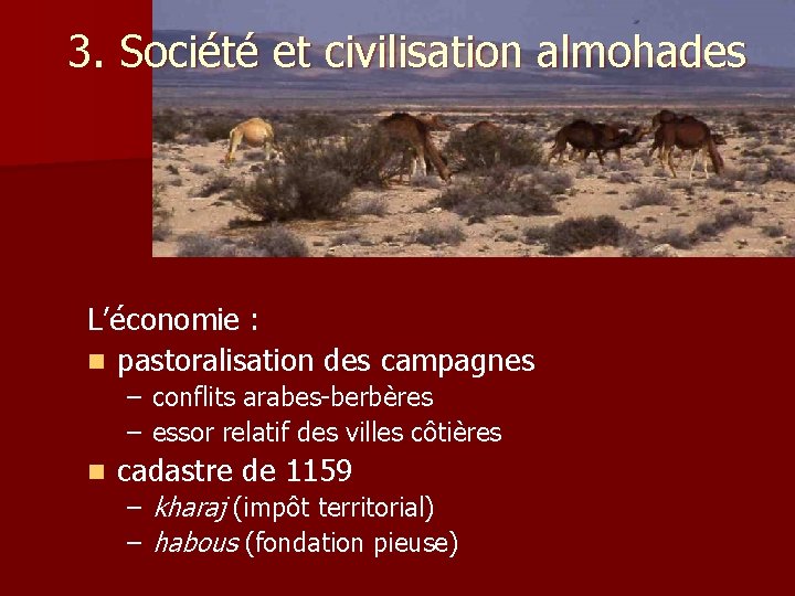 3. Société et civilisation almohades L’économie : n pastoralisation des campagnes – conflits arabes-berbères