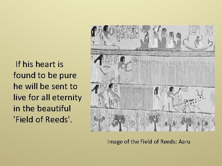  If his heart is found to be pure he will be sent to