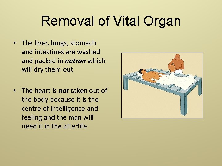 Removal of Vital Organ • The liver, lungs, stomach and intestines are washed and