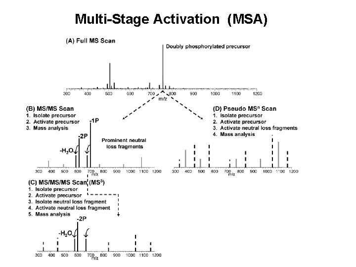 Multi-Stage Activation (MSA) 