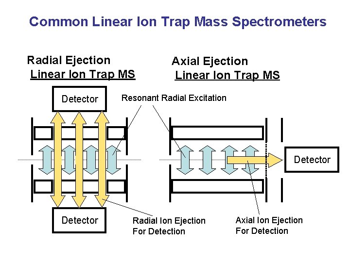 Common Linear Ion Trap Mass Spectrometers Radial Ejection Linear Ion Trap MS Detector Axial