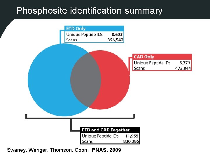 Phosphosite identification summary Swaney, Wenger, Thomson, Coon. PNAS, 2009 
