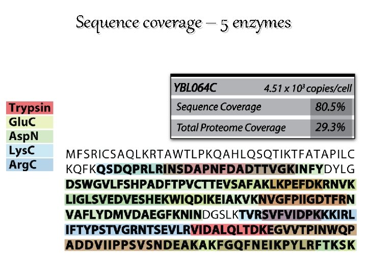 Sequence coverage – 5 enzymes 