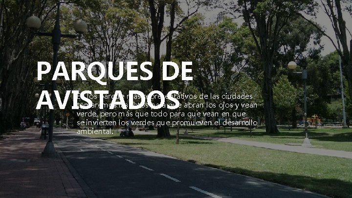 PARQUES DE AVISTADOS En los parque más representativos de las ciudades tomaremos las fotos