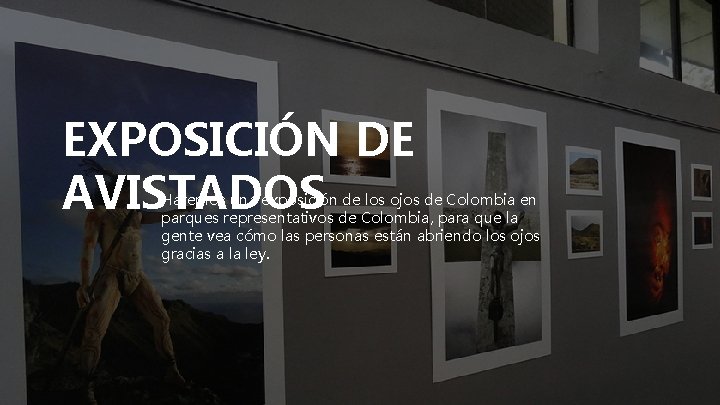 EXPOSICIÓN DE AVISTADOS Haremos una exposición de los ojos de Colombia en parques representativos