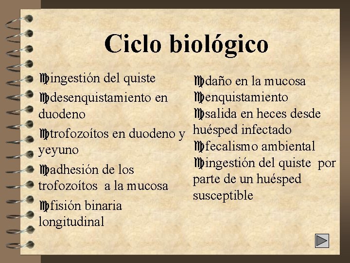 Ciclo biológico cingestión del quiste cdaño en la mucosa cenquistamiento cdesenquistamiento en csalida en