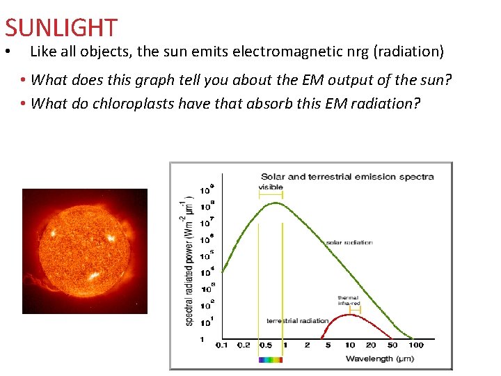 SUNLIGHT • Like all objects, the sun emits electromagnetic nrg (radiation) • What does