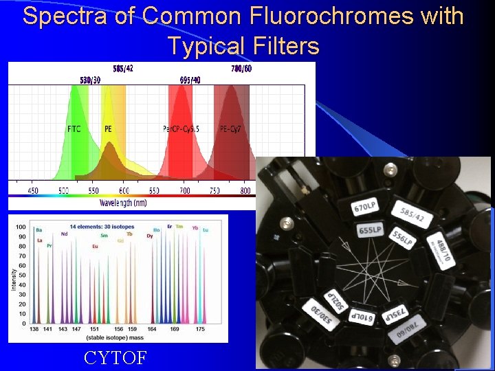 Spectra of Common Fluorochromes with Typical Filters CYTOF 