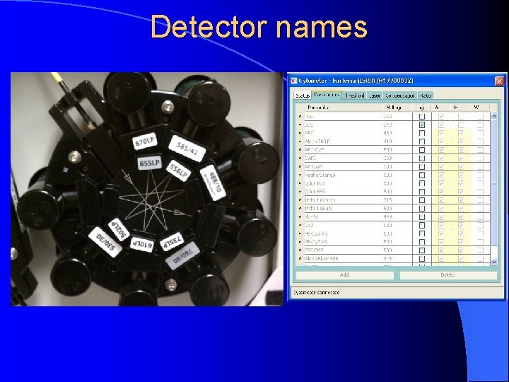 Detector names 