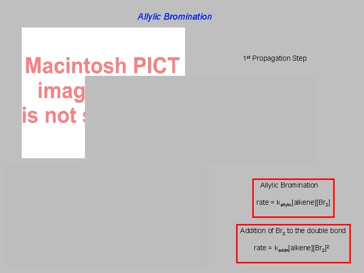 Allylic Bromination 1 st Propagation Step 2 nd Propagation Step Generation of Br 2