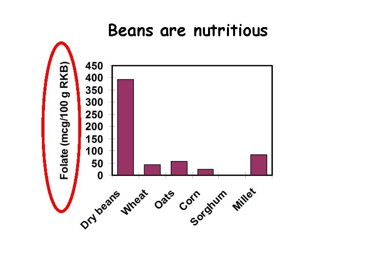 Beans are nutritious 