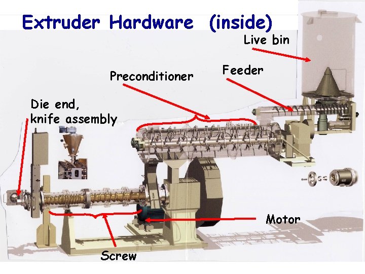 Extruder Hardware (inside) Live bin Preconditioner Feeder Die end, knife assembly Motor Screw 